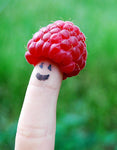 Raspberry Beret