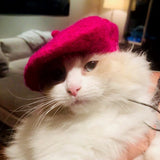 Copy of Raspberry Beret